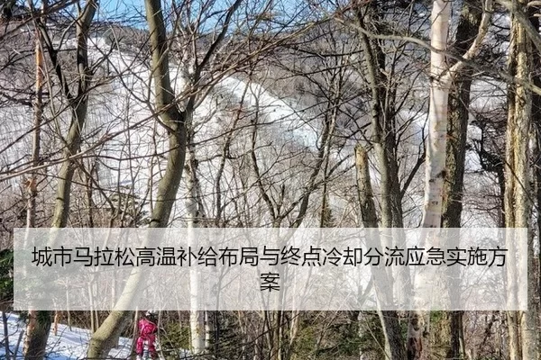 cheng-shi-ma-la-song-gao-wen-bu-ji-bu-ju-yu-zhong-dian-leng-que-fen-liu-ying-ji-shi-shi-fang-an-2-881.jpg