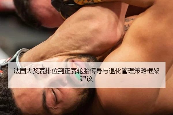 法国大奖赛排位到正赛轮胎传导与退化管理策略框架建议