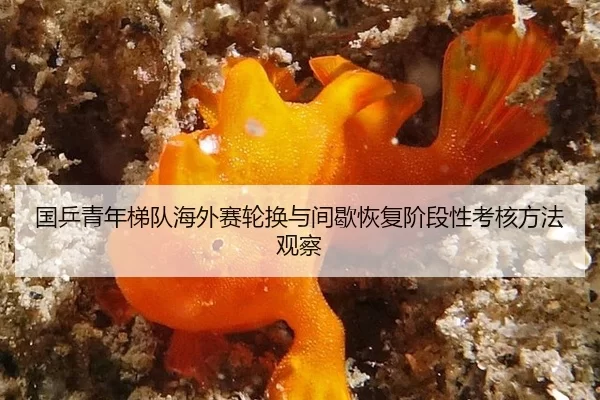 guo-ping-qing-nian-ti-dui-hai-wai-sai-lun-huan-yu-jian-xie-hui-fu-jie-duan-xing-kao-he-fang-fa-guan-cha-2-537.jpg